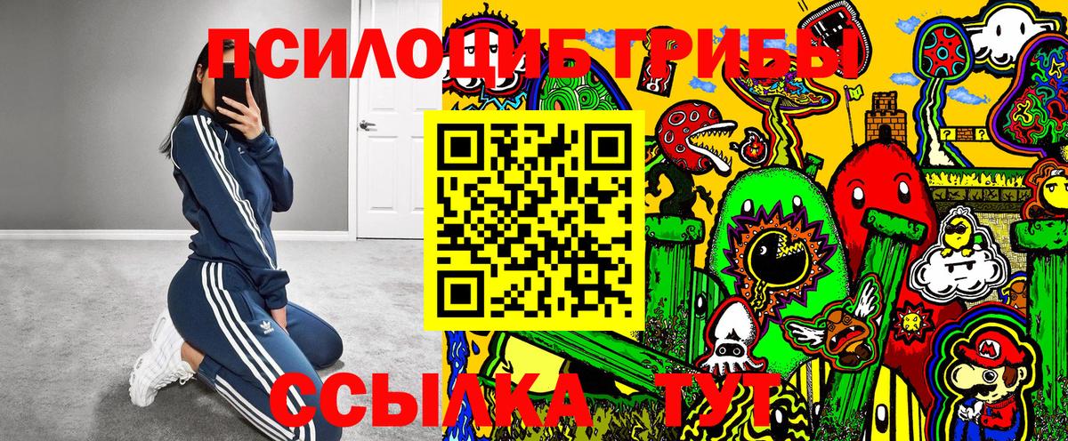 Набережные Челны  как найти   Вход с VPN  Галлюциногенные грибы мицелий 